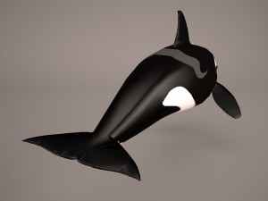 orca whale 3Dモデル