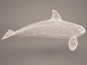 orca whale 3Dモデル