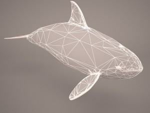 orca whale 3Dモデル