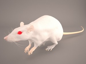 mouse 1 3Dモデル