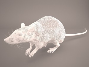 mouse 1 3D Model