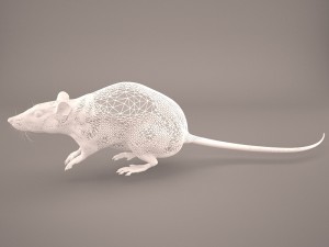 mouse 1 3D Model