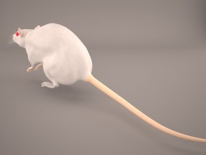 mouse 1 3D Model