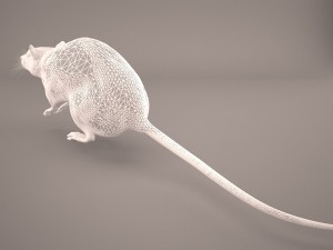 mouse 1 3D Model