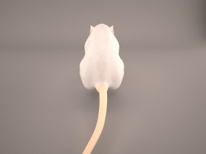 mouse 1 3D Model