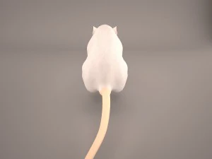 tikus 1 Model 3D