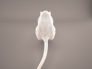 mouse 1 3D Model