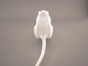 tikus 1 Model 3D
