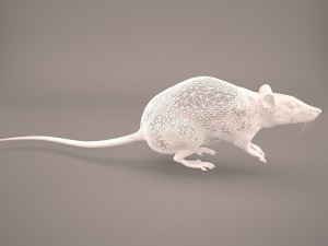 mouse 1 3D Model