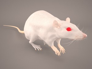 mouse 1 3D Model