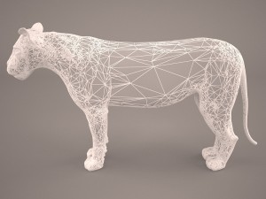 lioness Model 3D