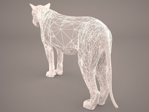 lioness Model 3D