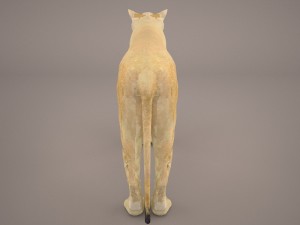 lioness Model 3D