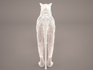 lioness Model 3D