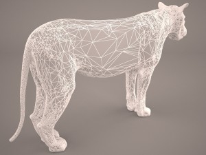 lioness Model 3D