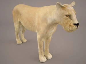 lioness 3D Model
