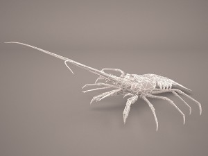 lobster Modèle 3D