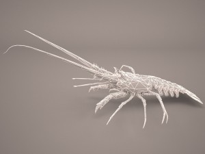 lobster Modèle 3D
