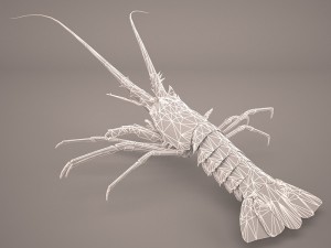 lobster Modèle 3D