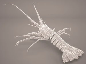 lobster 3D Model
