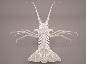 lobster Modèle 3D