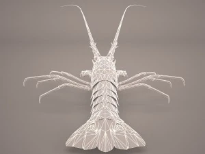 lobster 3D Model