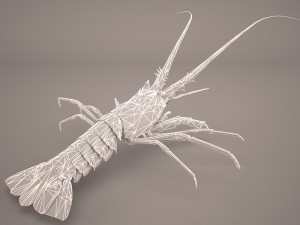 lobster Modèle 3D