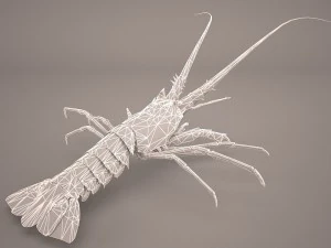 lobster 3D Model