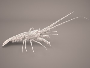 lobster Modèle 3D