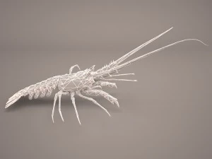 lobster 3D Model