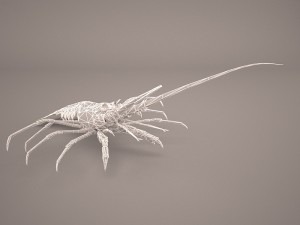 lobster Modèle 3D