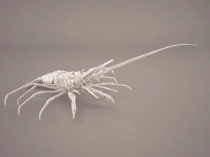 lobster 3D Model