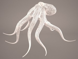 octopus 3D मॉडल