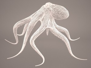 octopus 3D मॉडल