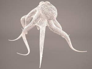 octopus 3D मॉडल