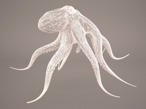 octopus 3D मॉडल