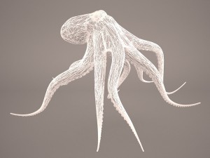 octopus 3D मॉडल