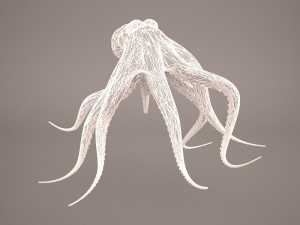 octopus 3D मॉडल