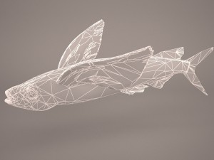 fish 1 3D 模型