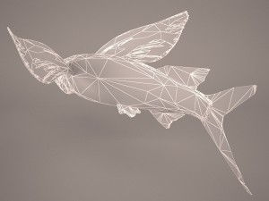 fish 1 3D 模型