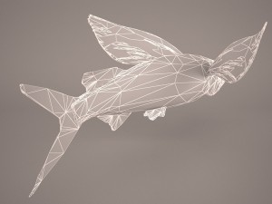 fish 1 3D 模型