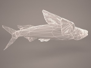 fish 1 3D 模型