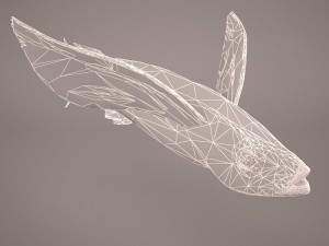 fish 1 3D 模型
