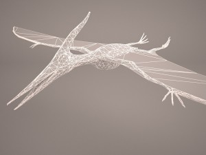 pteranodon Model 3D