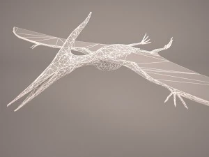 pteranodon 3D Model