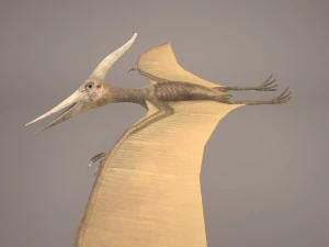 pteranodon 3D Model