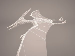 pteranodon 3D Model