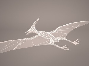 pteranodon Model 3D