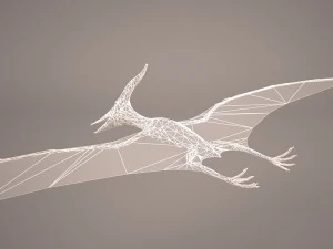 pteranodon 3D Model