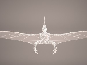 pteranodon Model 3D